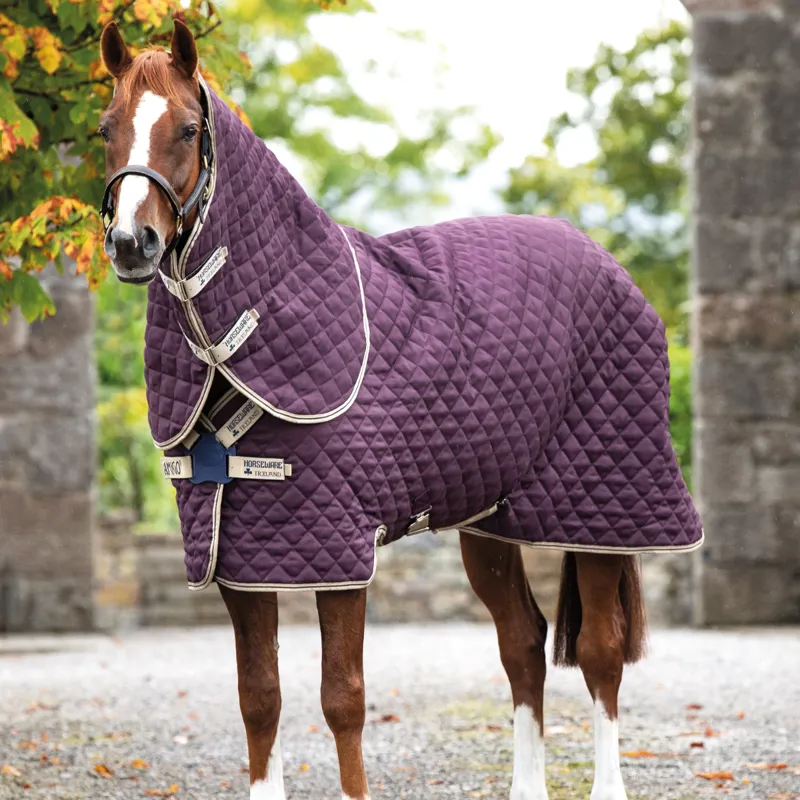 Horseware Amigo Disc-Front Mediumweight 200g Stable Rug Plus - Fig/Navy/Tan
